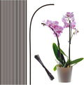 20Pcs Plant Stakes,Plant Sticks,Garden Brown Bendable Single Stem Plant Support Stakes for Indoor and Outdoor Plants,Potted Plants,Flowers Orchid Peony Rose-16 Inches
