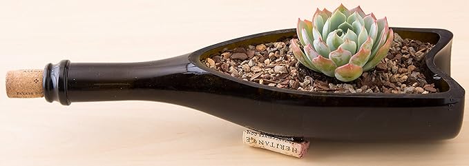 Bonsai Jack Succulent, Cactus and Bonsai Soil - Jacks Gritty Mix - 3 Gallons – Fast Draining – Fight Root Rot – Optimized pH