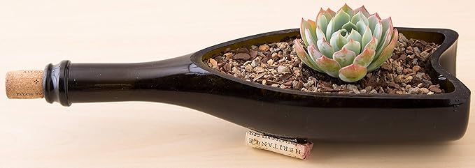 Bonsai Jack Succulent, Cactus and Bonsai Soil - Jacks Gritty Mix - 2 Quarts – Fast Draining – Fight Root Rot – Optimized pH