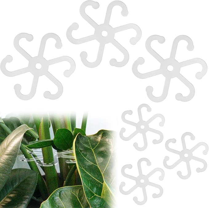BOXOB 6pcs Climbing Plant Stem Supports, 2 Sizes Acrylic Houseplant Stem Holder with Holes Reusable Plant Stand Stakes Trellis Stem Hook Growth Accessories for Plants (Transparent)