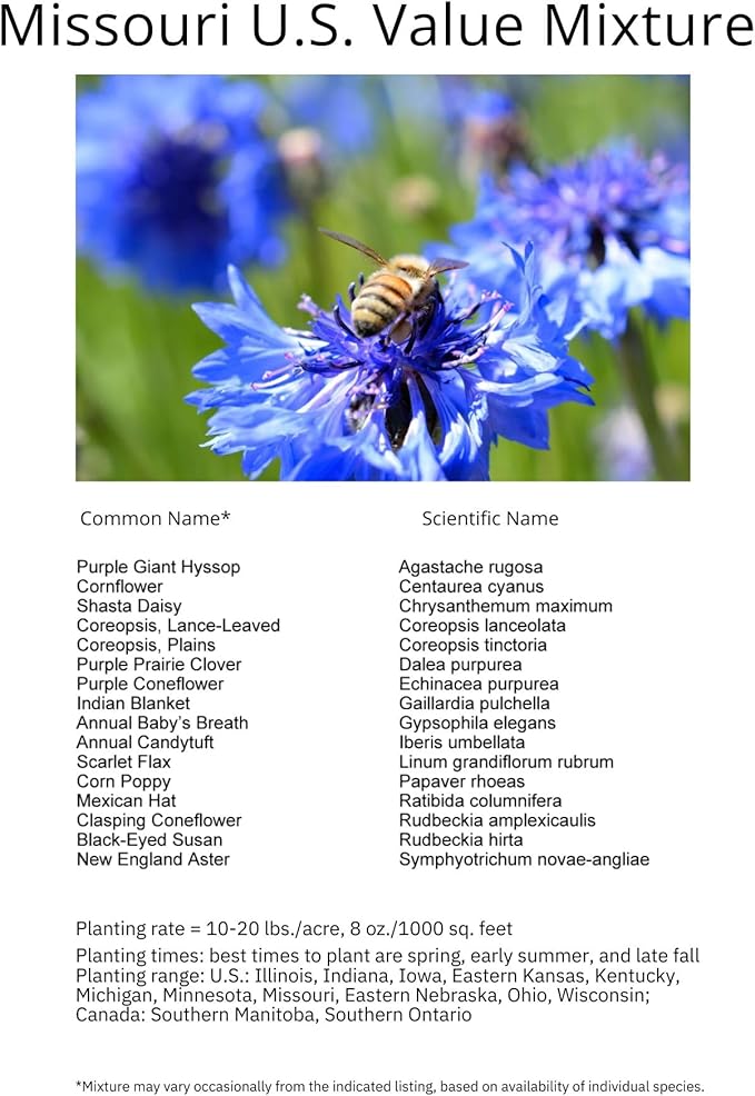 Missouri Bulk Perennial Wildflower Seed Mix 1lb Covers 2,000sq-ft - Attract Pollinators, Multi-Color Blooms - Midwest US Species Plant in Spring/Fall - Earth-Friendly Packaging (1/2 Pound)
