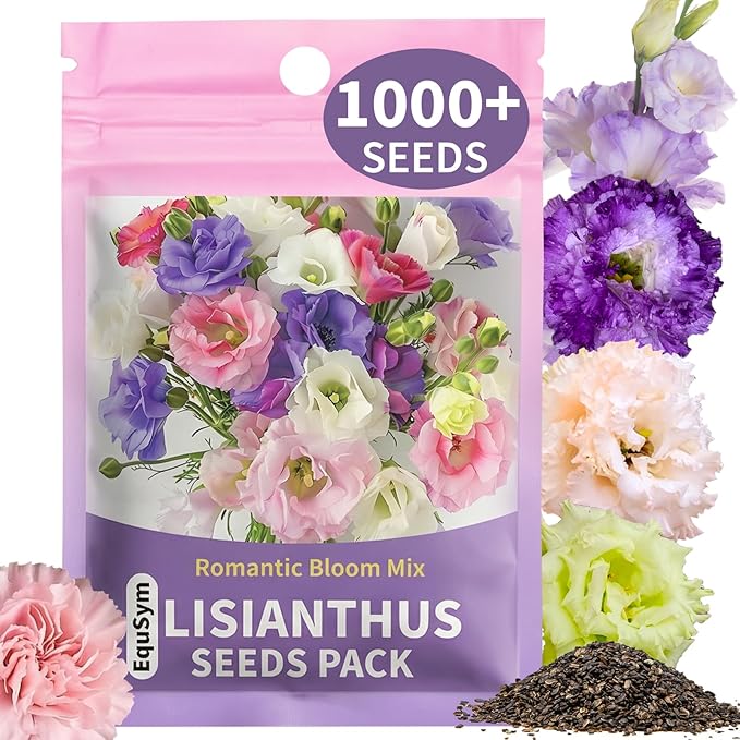 1000+ Lisianthus Seeds for Planting - Mixed Color Perennial Eustoma Grandiflorum Seeds for 2026, Wildflower Thornless Rose Flowers Seed for Planting, Non-GMO, Garden, Indoor Blooms,