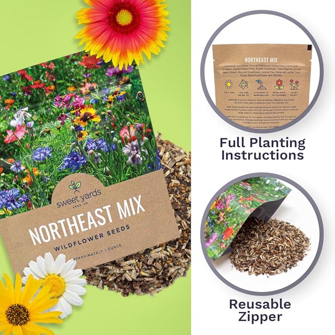 Northeast Wildflower Seeds - Extra Large 1 Ounce Packet - Over 7,500 Native Seeds - Open Pollinated and Non GMO Varieties for New York, Virginia, Pennsylvania, Maine and More!