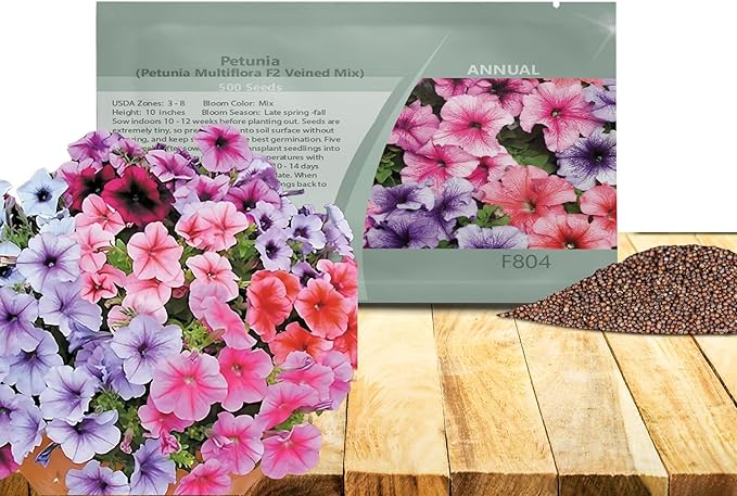 Outsidepride Veined Multiflora Petunia Seeds - 500 Pcs. Annual, Compact, Flower Seeds for Planting, Vibrant Blooms, Ideal for Garden Beds, Hanging Baskets & Container Displays