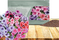 Outsidepride Veined Multiflora Petunia Seeds - 1000 Pcs. Annual, Compact, Flower Seeds for Planting, Vibrant Blooms, Ideal for Garden Beds, Hanging Baskets & Container Displays