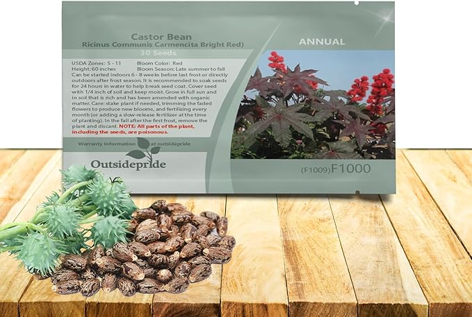Outsidepride Bright Red Castor Bean Seeds - 15 Pcs Annual Quick-Growing Tropical Flower Seeds for Planting Vibrant Foliage & Colorful Blooms for Eye-Catching Borders, Gardens & Landscapes