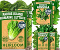 HOME GROWN Romaine Lettuce Seeds, Paris Island Bulk 7000 & Arugula 4350 & Bloomsdale Spinach 704