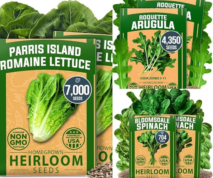 HOME GROWN Romaine Lettuce Seeds, Paris Island Bulk 7000 & Arugula 4350 & Bloomsdale Spinach 704