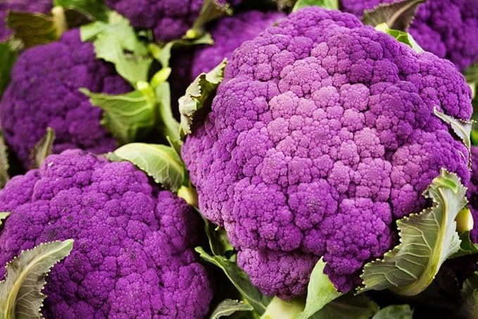 Seeds Vegetable Cauliflower Purple Cabbage - 100 Seeds