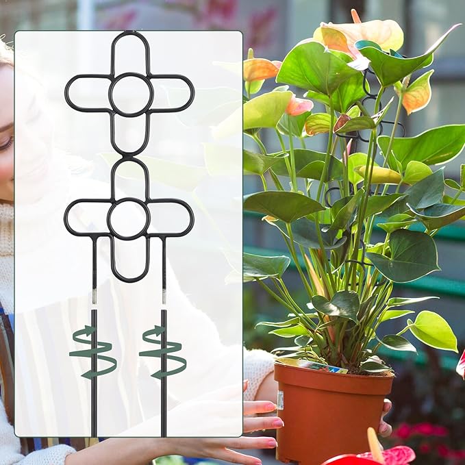 24Inch Trellis for Climbing Plants Indoor, Small Garden Metal Trellis for Potted Plants, Plant Stakes for Vine Ivy Flower Plant Support Indoor Plants Accessories Hoya, Flower Shape