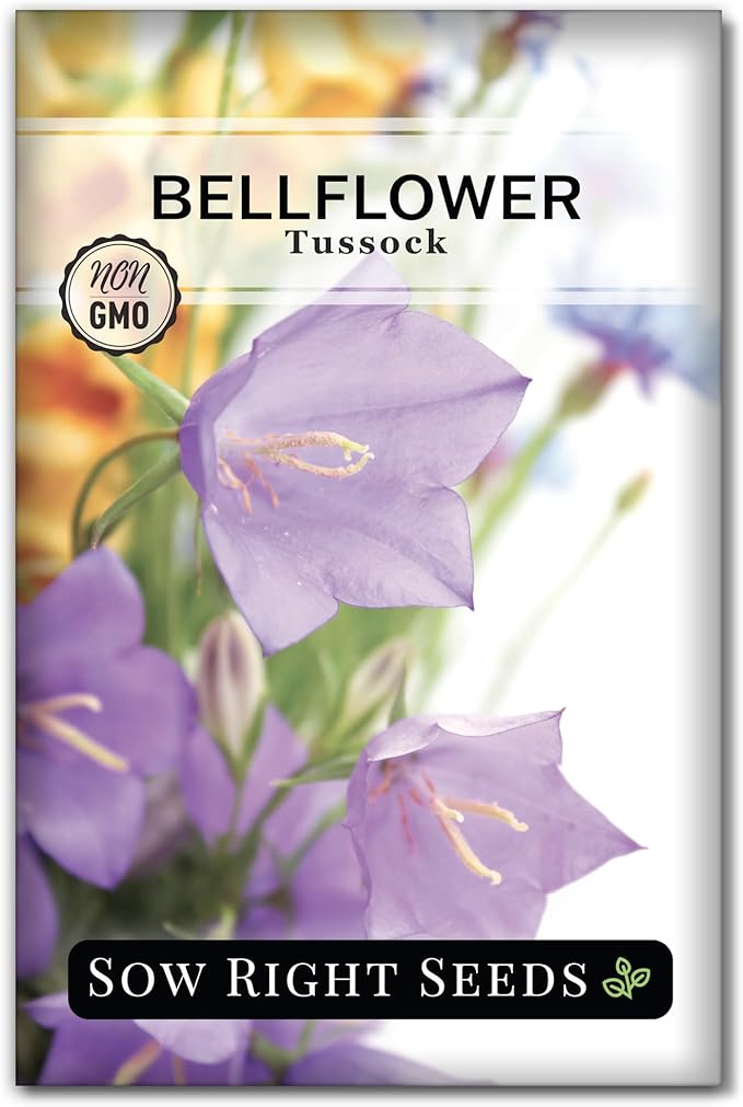 Sow Right Seeds - Tussock Bellflower Seeds for Planting - Blue Campanula Carpatica Perennial- Non-GMO Heirloom Packet With Instructions to Plant in Your Garden - Bell Shaped Blooms Outside Gardens (1)