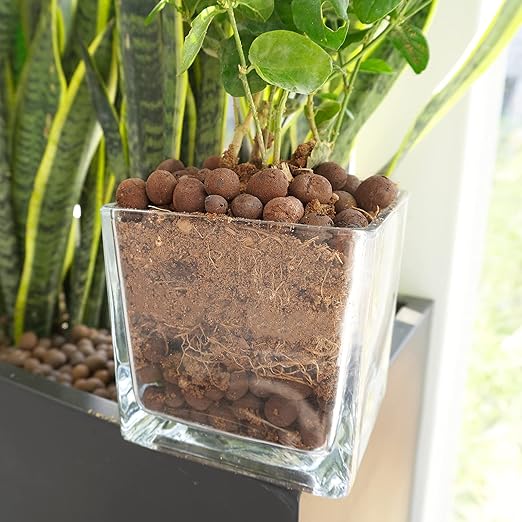 WAURHER Leca Expanded Clay Pebbles 2LBS Grow Media for Indoor Plants Hydroponic Growing Gardening System Supplies …