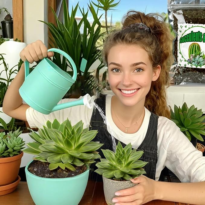 Cactus & Succulent Soil Mix 10qt, Chunky Well-Draining Soil for Indoor Plants - Spike & Bloom