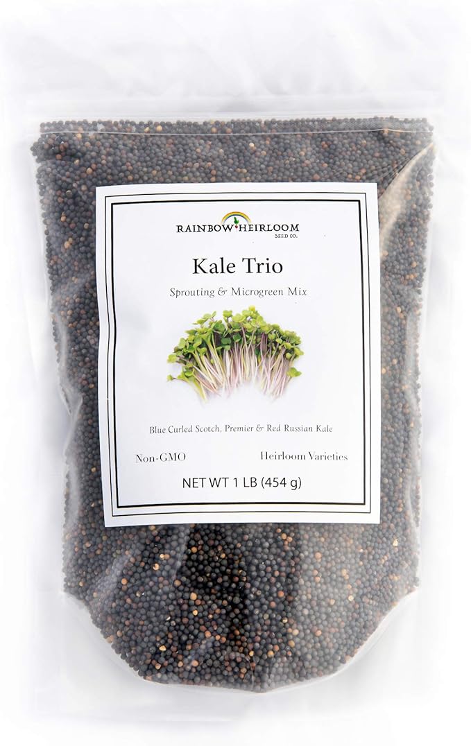 Kale Trio Sprouting & Microgreen Mix | Contains Blue Curled Scotch, Premier & Red Russian Kale Seeds | Heirloom Non-GMO Seeds | Bulk 1 LB Resealable Bag | Rainbow Heirloom Seed Co.