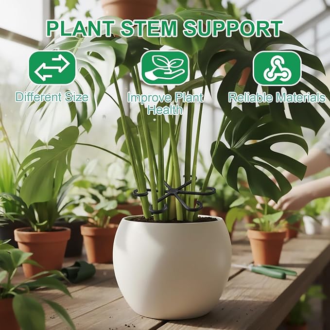 16 PCS Plant Stem Support – Reusable Plastic Plant Stem Holder for Monstera, Indoor Plant Support Clips, Gardening Accessories (Black)