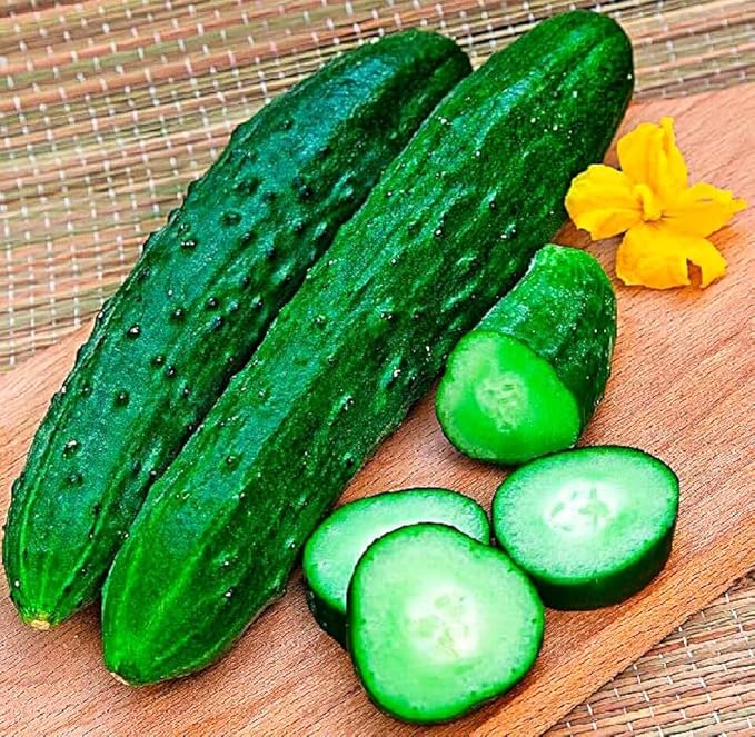 Seeds Indoor Cucumber April F1 - Self-Pollinated - Heirloom Vegetable - GMO Free