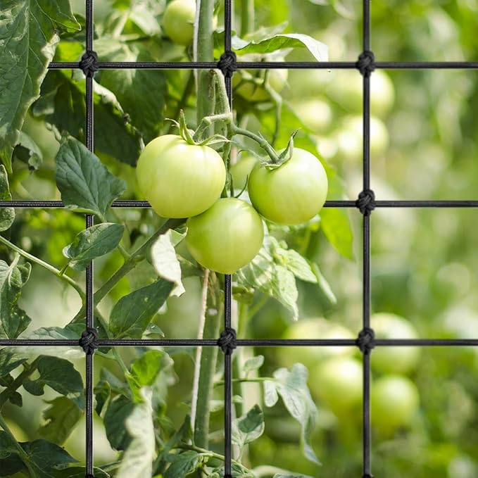 Elastic Trellis Netting, 2x2FT, Heavy-Duty, Black, Square, Polyester, Garden Netting, Climbing Plant Support Structure