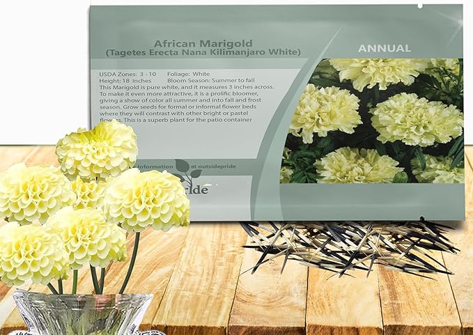 Outsidepride Nana Kilimanjaro White African Marigold Seeds for Planting - 1000 Pcs Annual, Compact & Heat-Tolerant, Flower Seeds w/Creamy White 3-Inch Blooms, Ideal for Vibrant Pollinator Gardens
