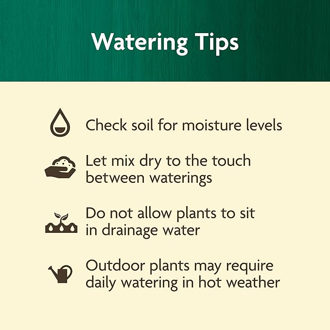 Miracle-Gro Organic Plant Food - Use with Indoor or Outdoor Plants, Organic Liquid Fertilizer for Containers and In-Ground Gardens, OMRI Listed, 32 fl. oz.