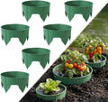 MoKo 6 PCS 10 Inch Plant Rings for Outdoor Plants, Protective Garden Edging Border for Water Retention, Reusable PVC Planting Ring for Yards, Greenhouse, Lawn, Shrubs, Vegetables, Herbs and Flowers