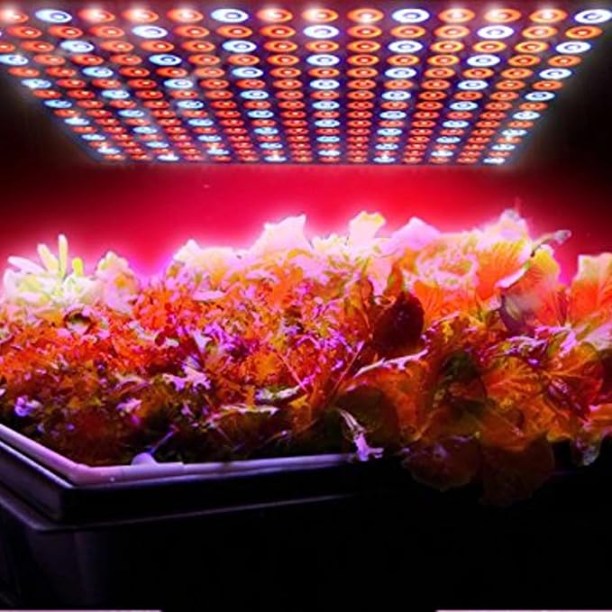 HQRP 225 LED Grow Light Panel, 45W Red & Blue 12" Square Lamp, for Growing Indoor Plants Fruits Flowers Vegetables, Indoor Garden Hydroponic Plant Grow Light with Hanging Kit