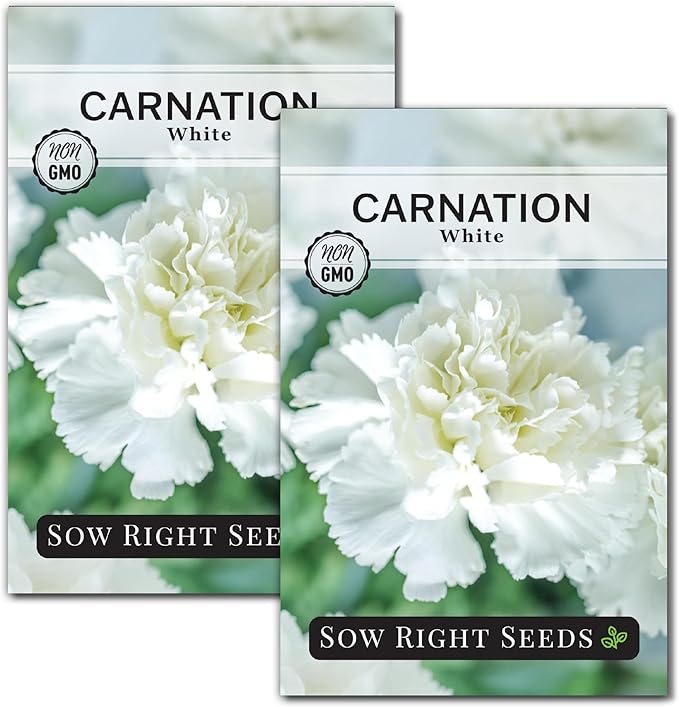 Sow Right Seeds - White Carnation Seeds for Planting - Grow Beautiful Dianthus Blooms in Your Garden - Perfect for Growing Outdoors or Using for Bouquets - Non-GMO Heirloom Vibrant Garden Flowers (2)