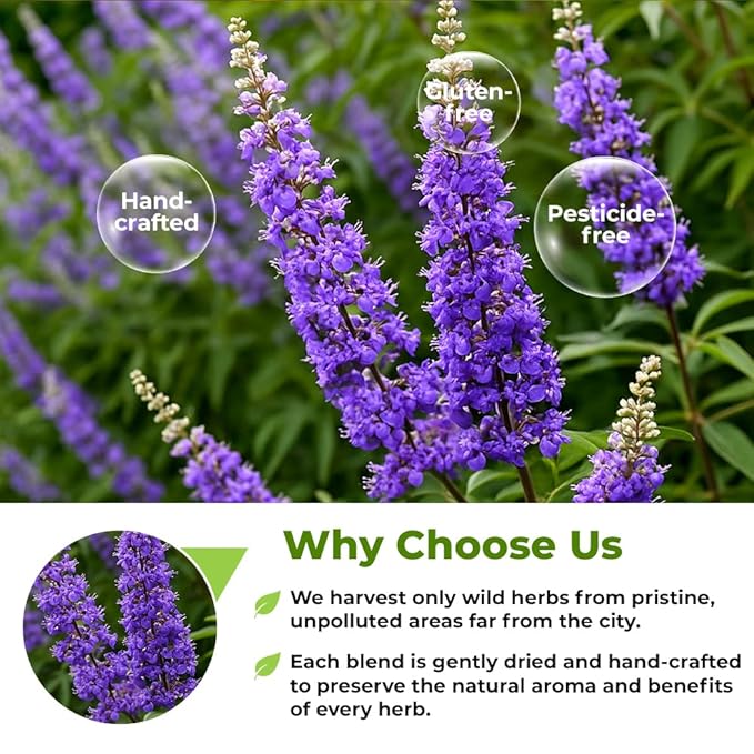 50 Bags Chaste Tree Berry Сhasteberry Tea Vitex Tea Herb (Vitex Agnus-Castus) - 50 Count 2 g Bags Chaste Tree Berry Herbal Vitex Sauzgatillo