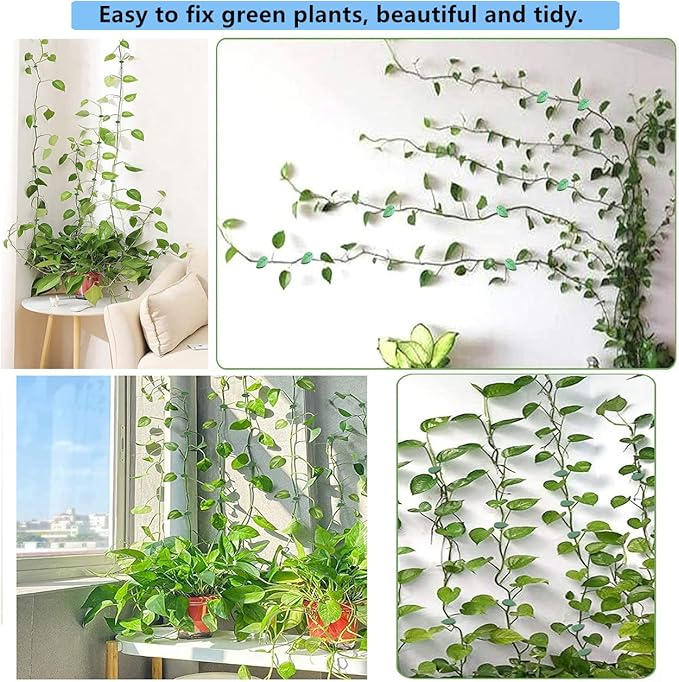 60 Pcs Plant Climbing Wall Fixture Clips Acrylic Self-Adhesive Sticker Fixer Vine Traction Invisible Holder Climbing Plant Green Leaf Vines Hook Fixing Clip Indoor Outdoor Decoration