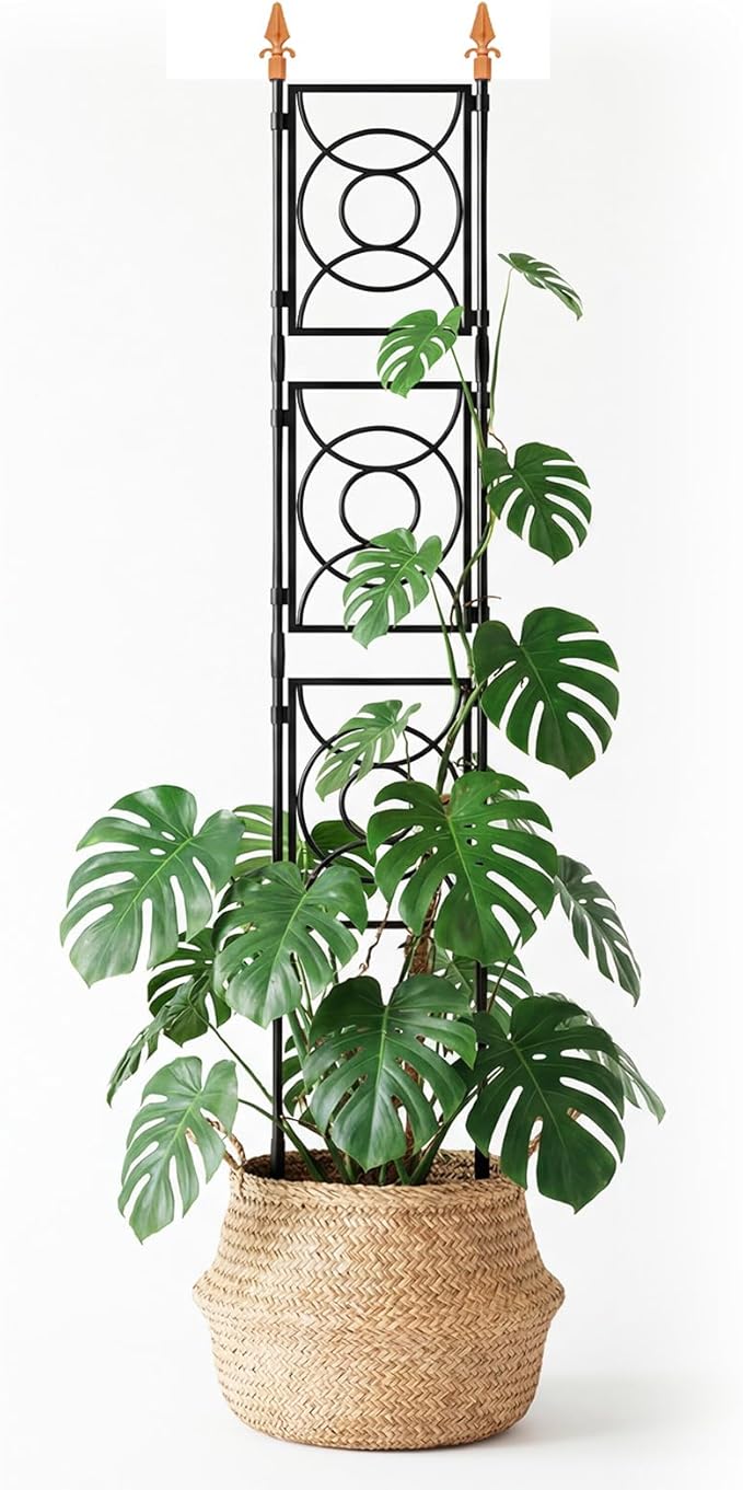 Trellis for Climbing Plants Indoor Outdoor, 24 Rifny Tall Garden Trellis Flower Rose Cucumber Trellis for Vines Pea Support, Wall Large Plant Trellis Fence with Plastic Coated Metal Poles, 6.2 FT