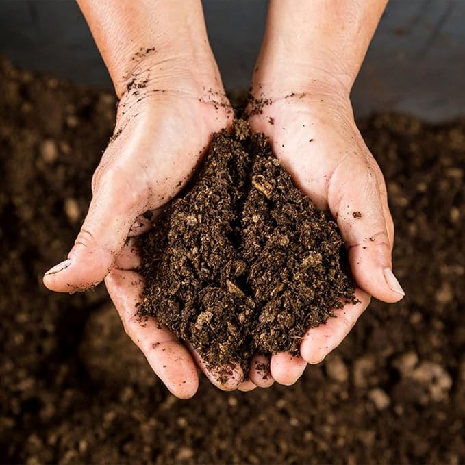 Organic Sphagnum Peat Moss, Added to Soil and Enriches Plant Roots, Gardening Soil Amendment and Carnivorous Plant Soil Media(4qt)