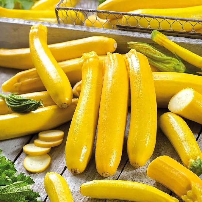 SeedsUP - 30+ Seeds Easy Pick Zucchini - Vegetable Golden