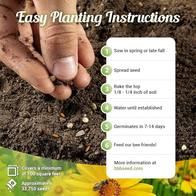 Bee Rescue Wildflower Seed Mix 1oz - Premium Wildflower Seed Mix for Native Bees and Pollinators 1oz