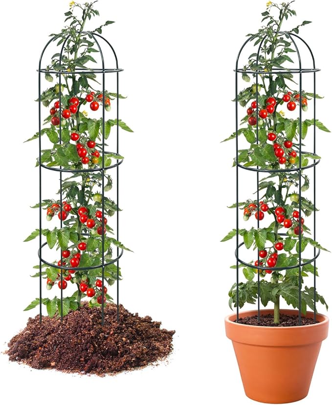 2Pcs Trellis for Climbing Plants Outdoor, 75" Tall Heavy Duty Metal Obelisk Garden Trellis Climbing Plant Support for Tomatos Cucumber Potted Vine Flower Rose Clematis Vegetable Pea Bean Trellises