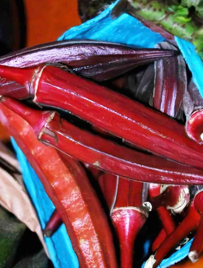 Todd's Seeds Red Burgundy Okra Heirloom Seed - 11g Packet