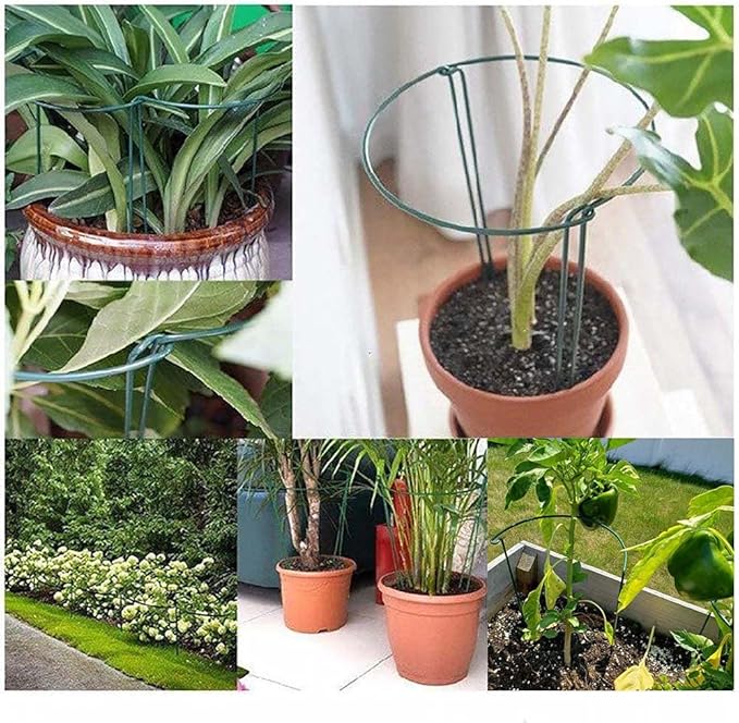 8 Pack Plant Support Stakes, Metal Interlinking Plant Stake for Garden, Plant Cages & Supports for Peony, Tomato, Hydrangea, Indoor Plants (9.8" W x 15.7" H)