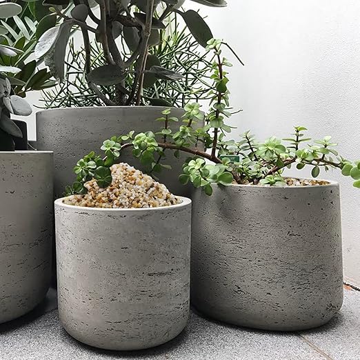 10lbs Coarse Sand Stone for Decorative Rocks, Soil Cover Bonsai, Succulent, Terrarium, Cactus, Aquarium, Garden, DIY, Natural Sand Top Dressing