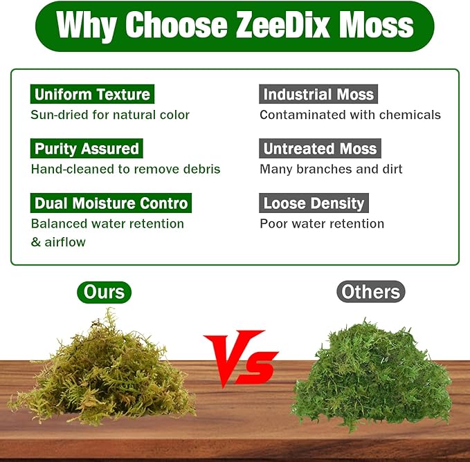 ZeeDix 8 oz Forest Moss for Plants Indoor - Dried Orchid Moss for Repotting, Natural Green Sphagnum Moss for Potted Plants Carnivorous Monstera Succulents Crafts Reptile Habitat (Expands to 12 qt)