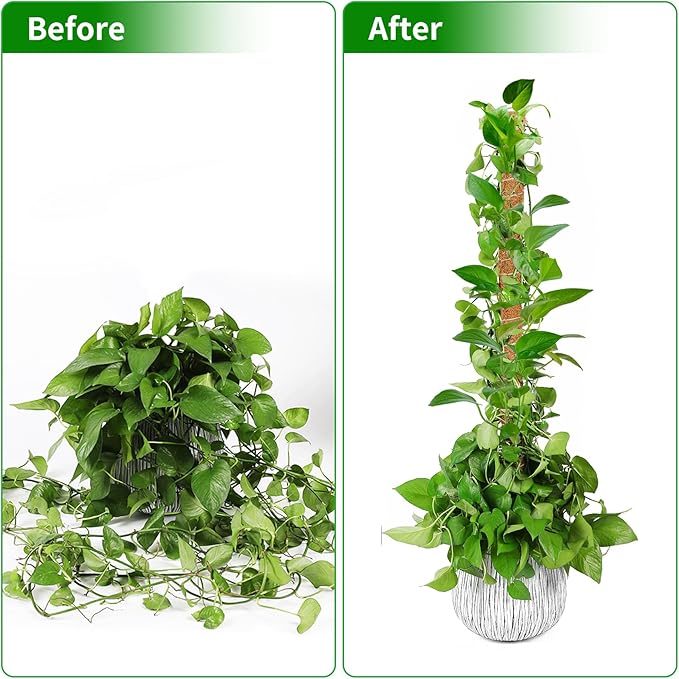 2 Pack Moss Pole, 63-Inch Moss Poles for Plants Monstera,Bendable Plant Support Stakes for Climbing Plants Indoor, Garden Trellis Plant Stick for Potted Plants, Pothos Philodendron