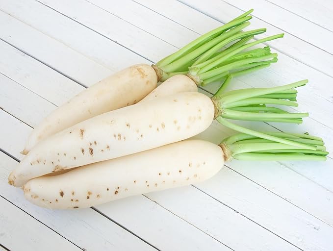 Radish Seeds for Planting – Non-GMO Heirloom Organic Vegetable Seeds – Full Instruction Packets to Plant in Your Home Outdoor Garden – Gardening Gift –100 Daikon Radish Seeds Per Pack (5)