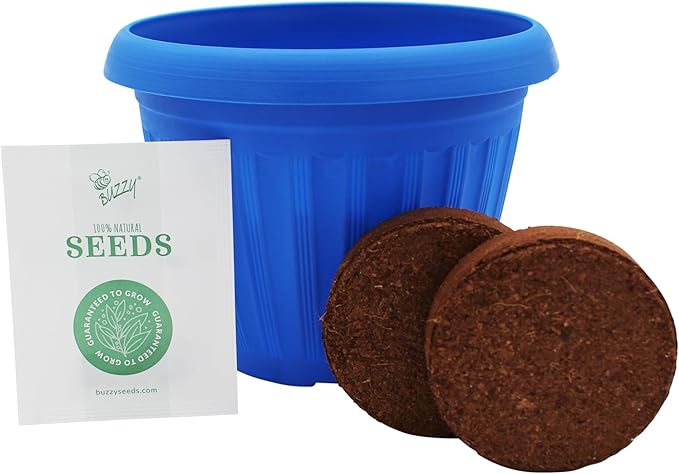 BUZZY Seeds Chaos Garden 3-Pack – Butterfly, Bee Attraction and Wildflower Seeds in 5.5 Inch Colorful Plastic Pots, Easy-Grow Flower Starter Kit, Indoor Gardening Gift