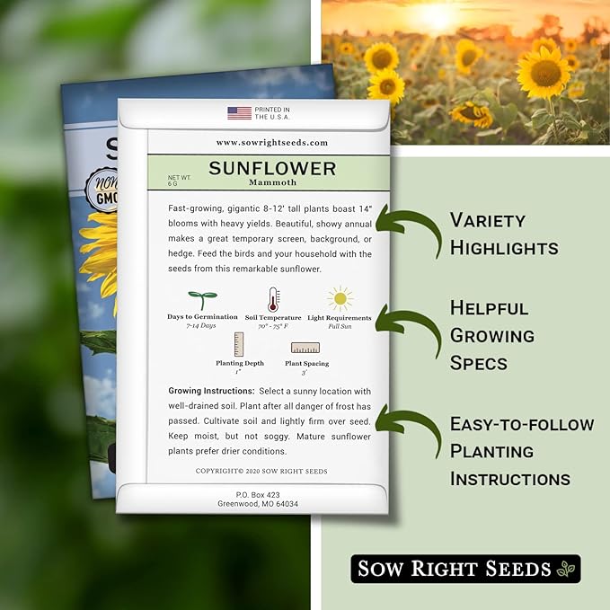 Sow Right Seeds - Mammoth Sunflower Seeds to Plant - Grow Giant Sunflowers in Your Garden - Non-GMO Heirloom Seeds for Planting an Outdoor Garden - Bright Yellow Blooms - Attract Bees and Birds (2)