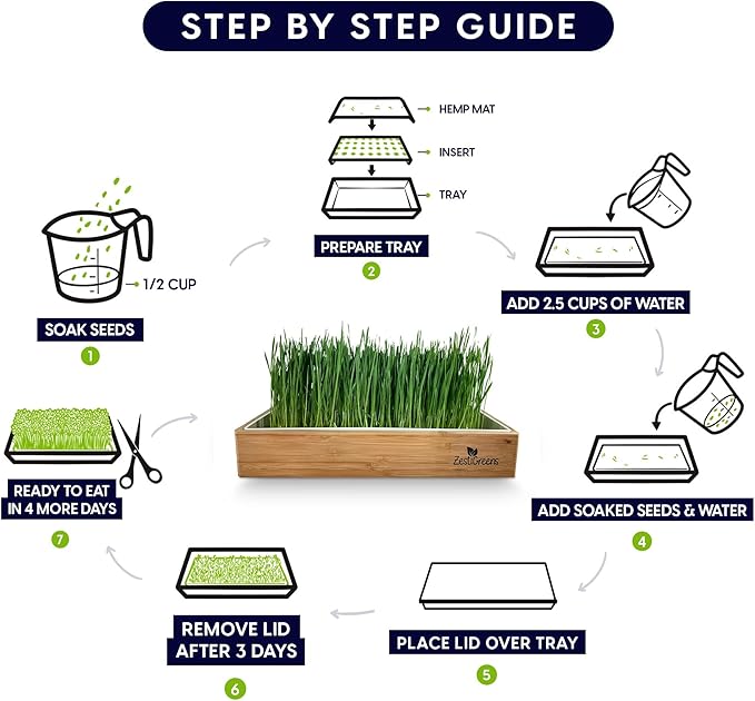 Cat Grass Refills for Self Watering Cat Grass Kit - 4 Mats and 4 Cat Grass Seed Packets (Refill Kit)