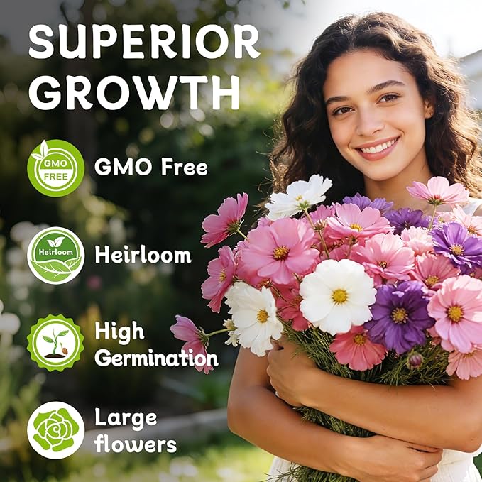 Cosmos Seeds for 2026 (4,500+ Seeds) - Crazy Blend Mix Color, Cosmos Flower Seeds for Planting Garden, No Filler, 1.5 Oz Packet, Easy to Grow