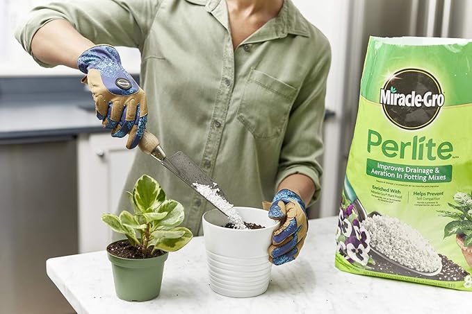 Scotts Perlite, 8 qt.