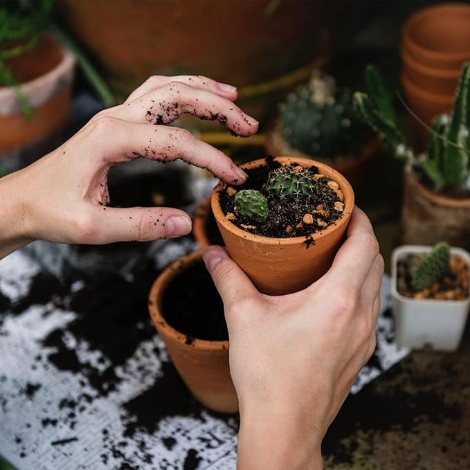 Succulent and Cactus Soil Potting Mix 5.5 LBS, Bonsai Soil Mix Ready to Use, Fast Draining with Added Nutrients