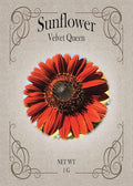 Black Duck Brand Set of Flower Seed Packets! Flower Seeds in Bulk - Great for Creating The Garden of Your Dreams! (25, Velvet Queen Sunflower)