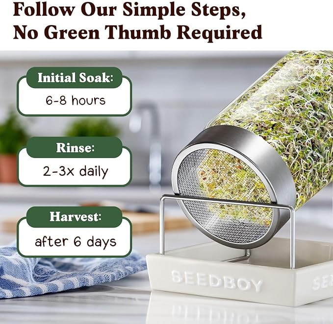 Seedboy Organic Non-GMO Broccoli Seeds for Sprouting - USA Grown Microgreens Sprouting Seeds - 8 oz Bag Makes 8 Quarts / 24 Servings (Di Cicco Broccoli)