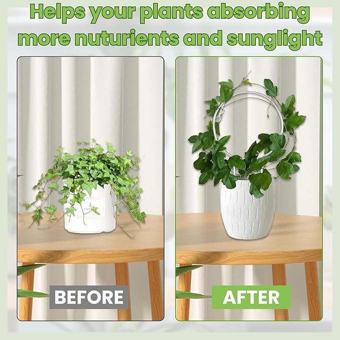 Lancisism 12 Pack Acrylic Plant Trellis for Indoor Climbing Plants, Thickened Clear U-Shaped & Round Small Plant Trellis, Potted Plant Climber Support for Hoya, Pothos, Vine Ivy, Monstera Houseplant