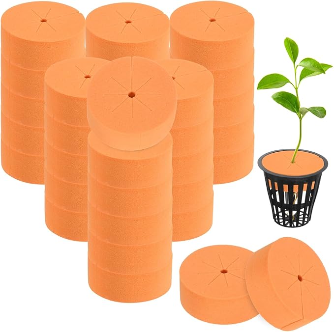 60-Pack Cloning Collars Inserts, Hydroponics Sponge Systems Cloning DIY Foam Cloner Inserts Fits 2" Net Pots for Hydroponic/DIY Cloner/Clone Machines/Plant Germination [Orange]