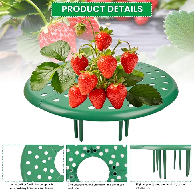 ChezMax 6 Pack Strawberry Plant Support - Strawberry Support Holder for Garden, Strawberrys Trellis Stand with 48 Legs, Planting Live Plants or Seeds, Plant Pot Stand Protection
